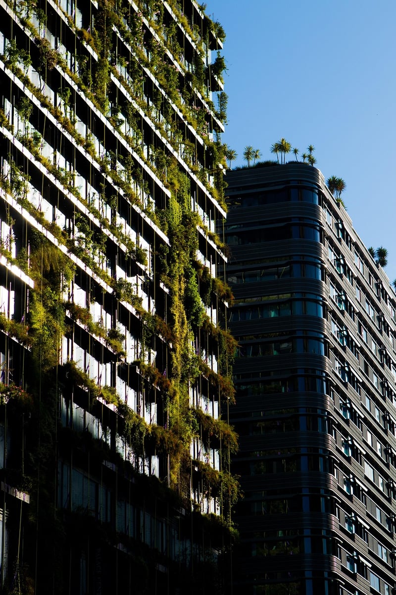 Urban Gardening